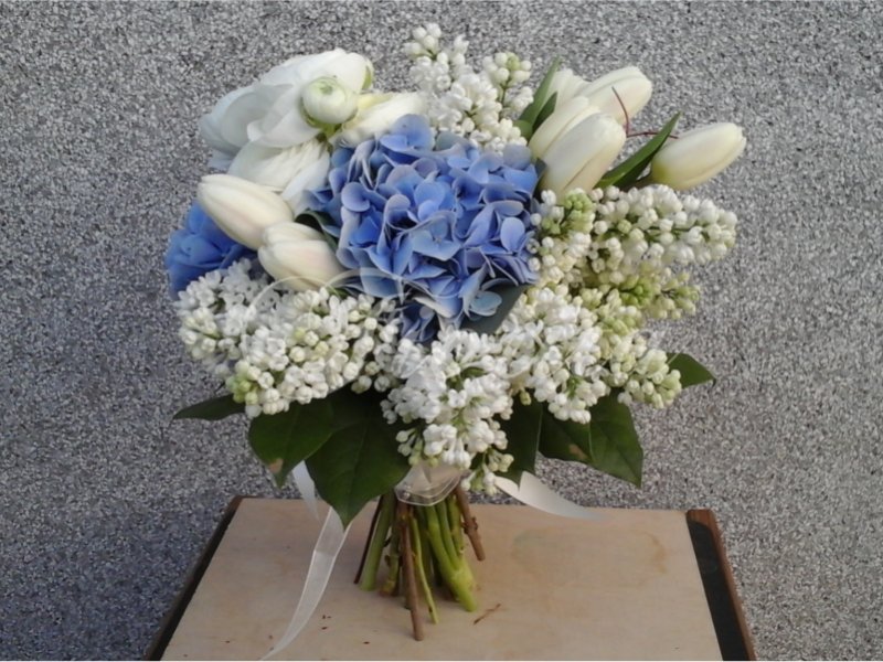 kvetinarstvi-praha-svatebni-kytice-svetle-modra-bila-hortenzie-tulipany-serik-pryskyrnik-1
