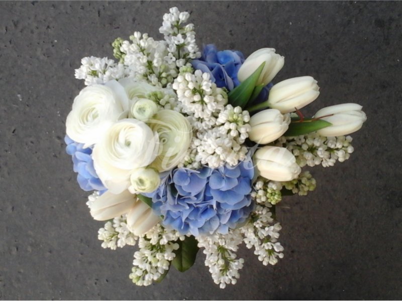 kvetinarstvi-praha-svatebni-kytice-svetle-modra-bila-hortenzie-tulipany-serik-pryskyrnik-4