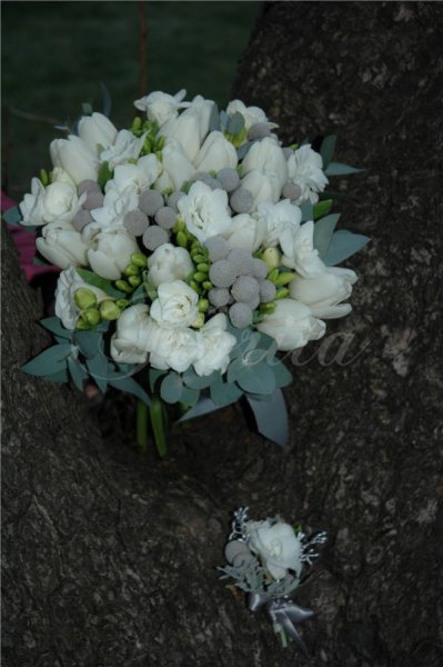 svatebni-kytice-praha-tulipany-brunie-frezie-2