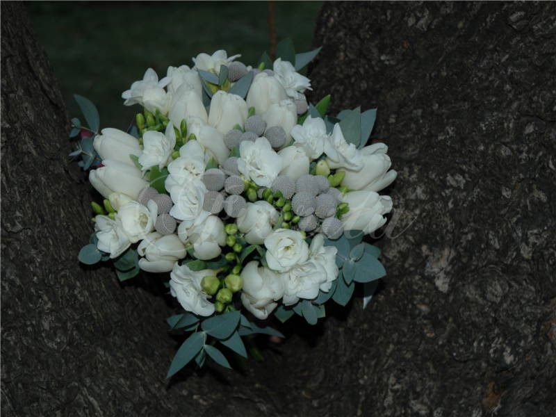 svatebni-kytice-praha-tulipany-brunie-frezie-6