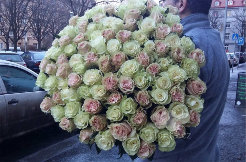 kytice-101-bila-ruzova-ruze-bouquet-101-white-pink-roses-101-belaya-rozovaya-roza