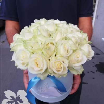 white roses in a box