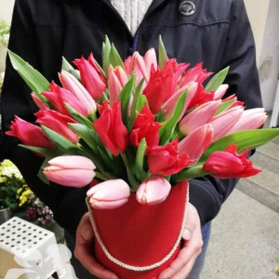 Tulipány