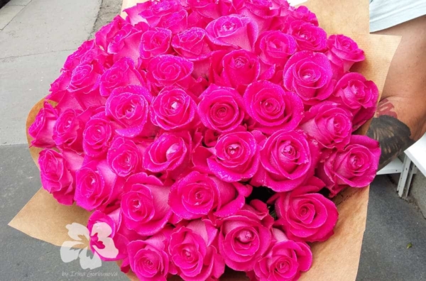 Strauß von 51 langen rosa Rosen