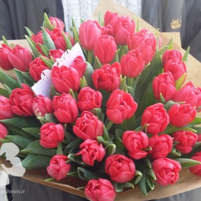 Bouquet von 35 Pfingstrosen-Tulpen