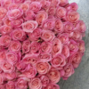 25 длинных светло-розовых роз