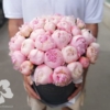 A box of 35 peonies