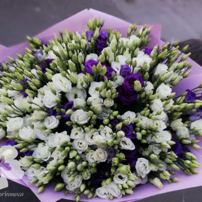 A bouquet of 50 eustomas