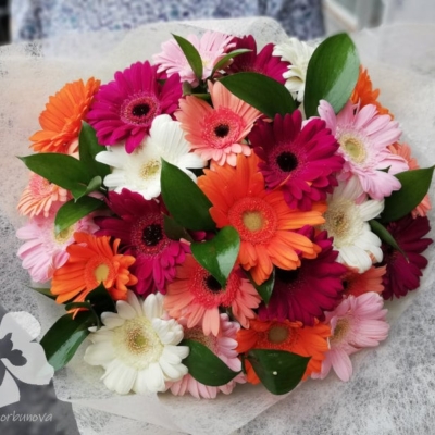 Gerberas bouquet