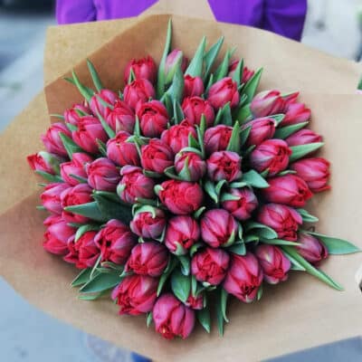 Strauß von 45 roten Pfingstrosen-Tulpen