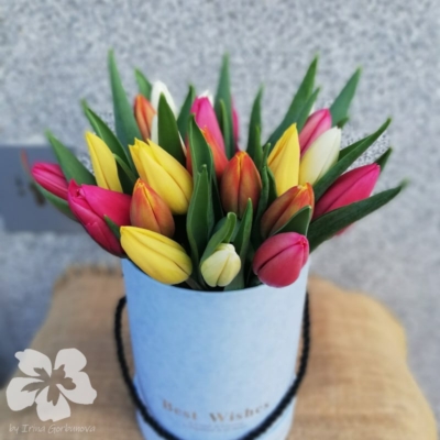 Box mit 25 Tulpen