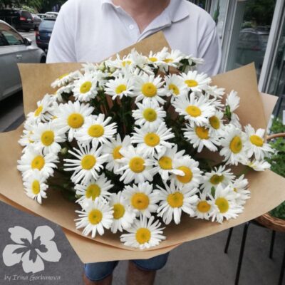 A bouquet of 51 large daisies