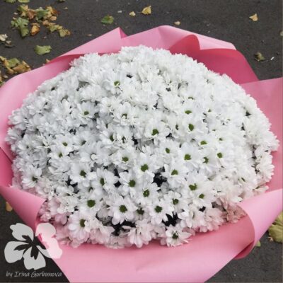 Strauß aus 51 Spray Chrysanthemen