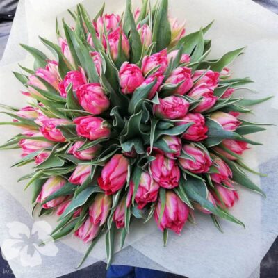 Blumenstrauß aus 51 Flashpoint-Tulpen