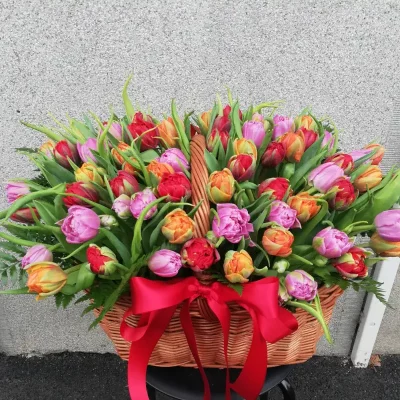 A basket of 75 tulips