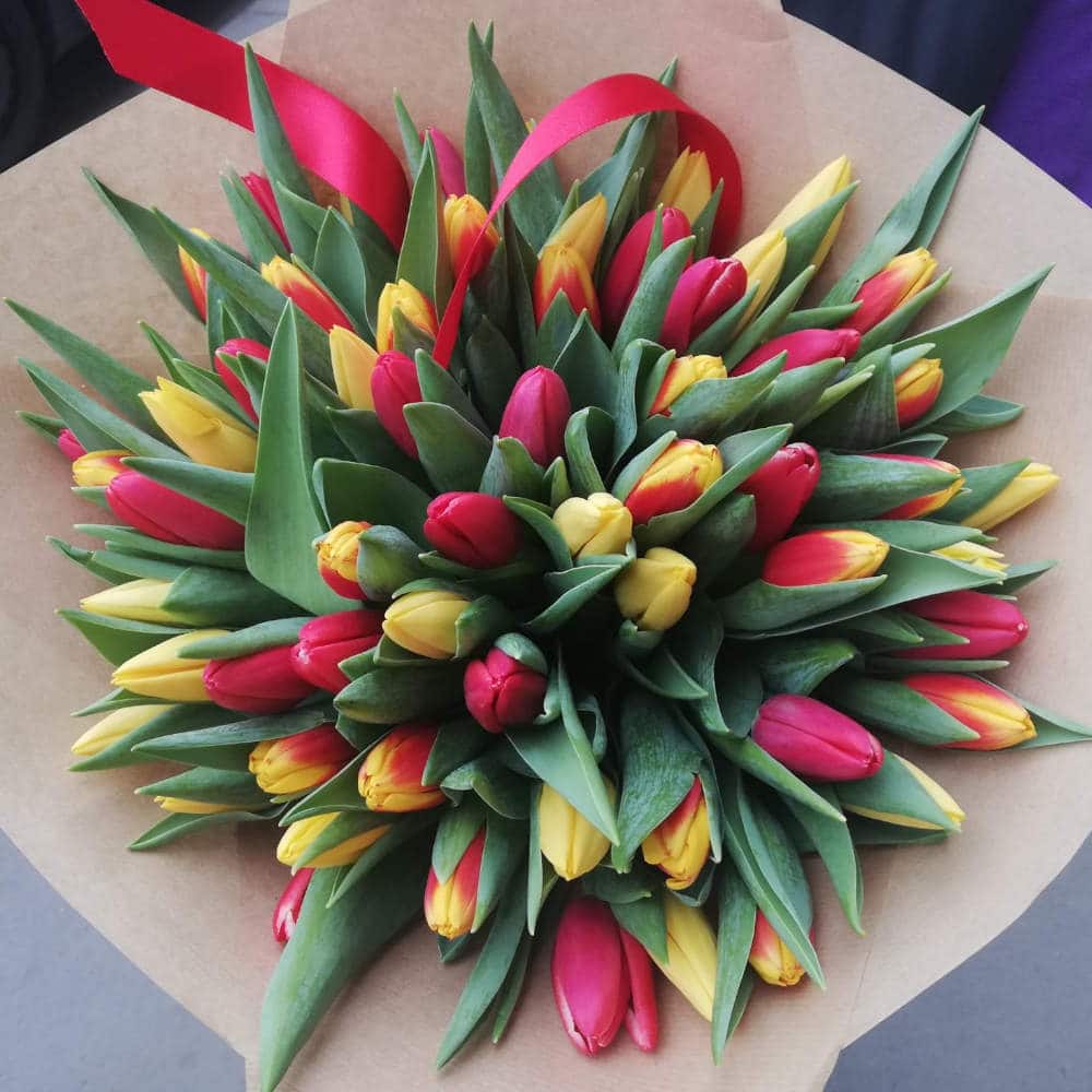 Kytice tulipánů