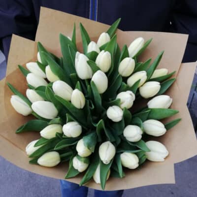 Blumenstrauß aus weißen Tulpen