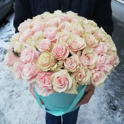 Schachtel mit 50 rosa Rosen