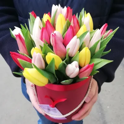 Boxes of tulips