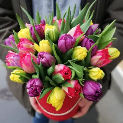 Коробка с 35 пионовидными тюльпанами