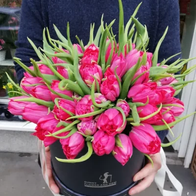 A box of 51 peony flowering tulips