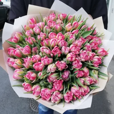 Bouquet of pink peony flowering tulips