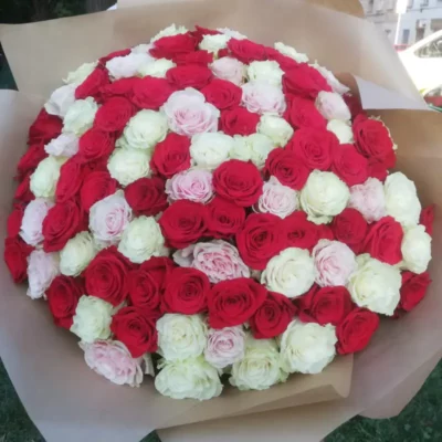 Mischung aus roten, rosa und weißen langen Rosen