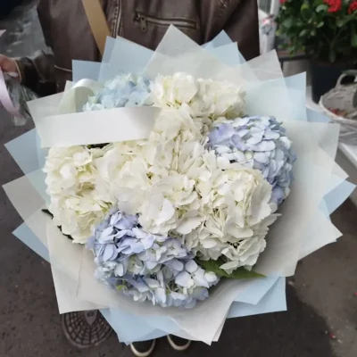 Букет із білих та блакитних гортензій